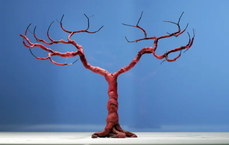Branco red tree