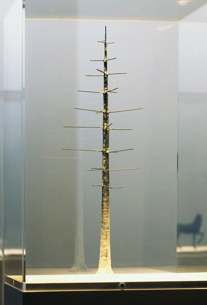 Branco tree