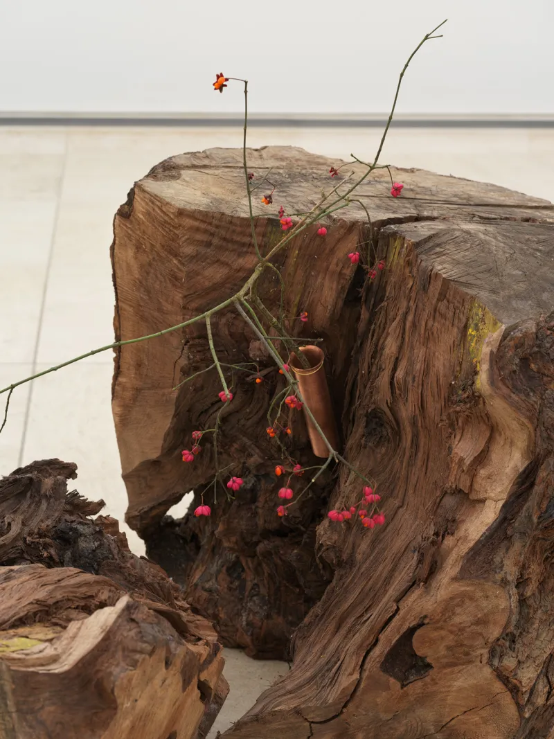 Vue de l'exposition "Isamu Noguchi / Danh Vo. a cloud and flowers", 11.12.2021 – 19.09.2022, Mudam Luxembourg © Photo : Nick Ash