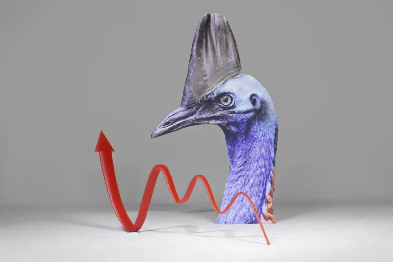 Katja Novitskova Pattern of Activation emu 1