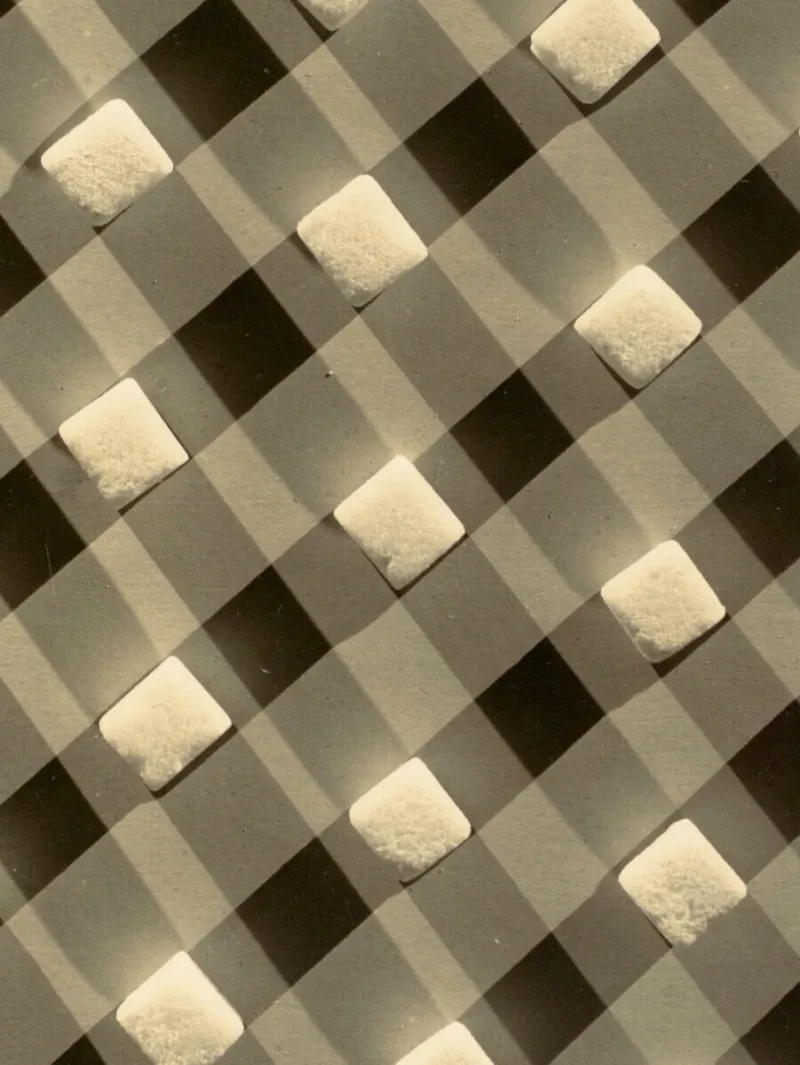 Edward J. Steichen, ‘Sugar Lumps. Pattern Design for Stehli Silks’, 1927 (detail). Ford Motor Company Collection, Gift of Ford Motor Company and John C. Waddell, 1987 © 2025 Artists Rights Society (ARS), New York