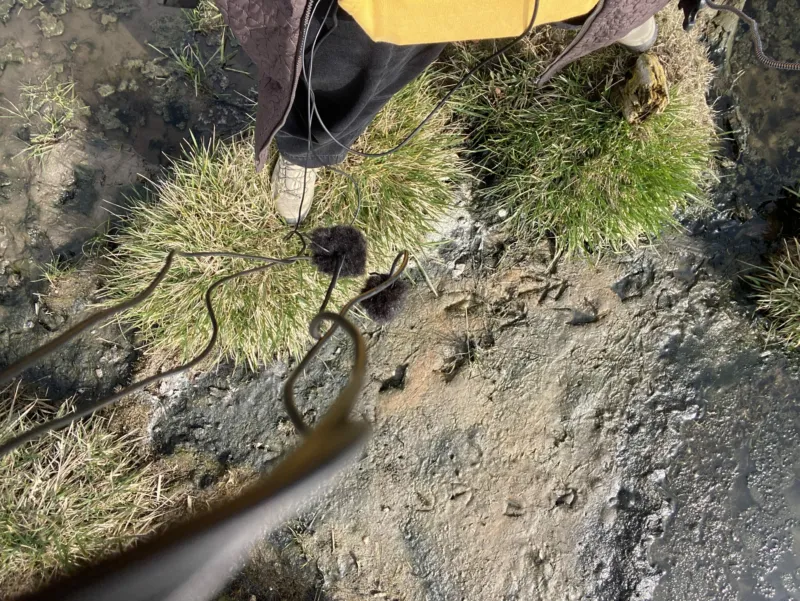Somebody recording sound on a wet ground.