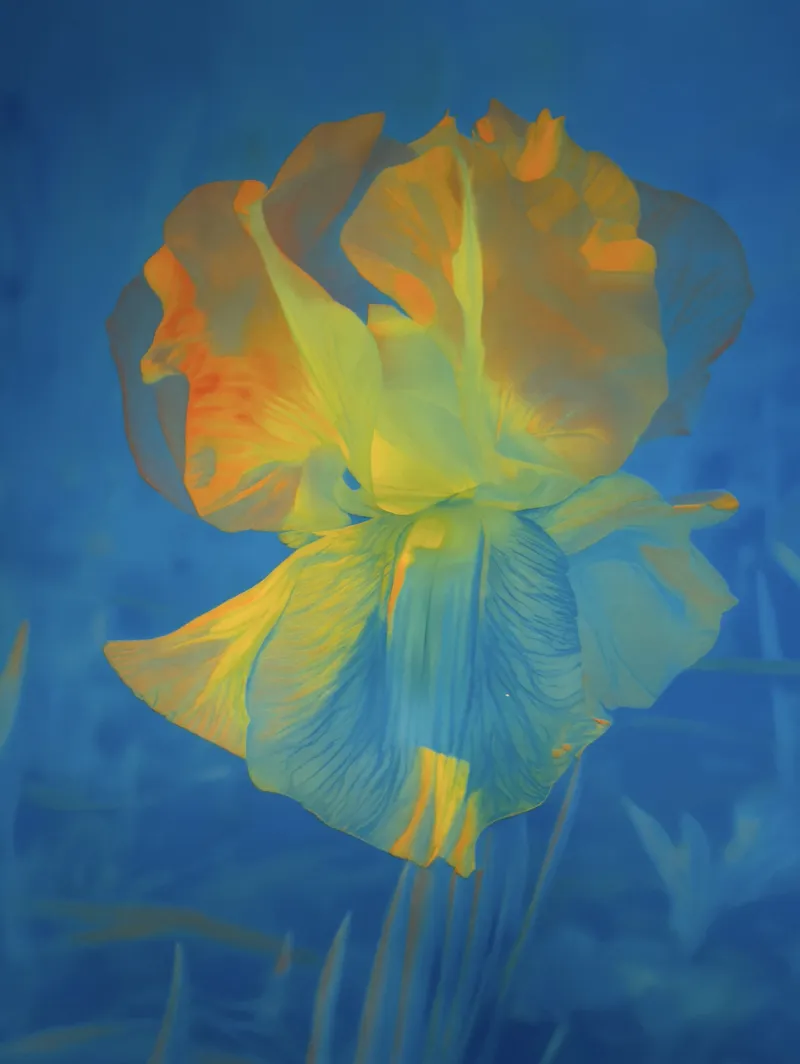 Lisa Oppenheim, ‘Mons Steichen (Version II)’, 2024. Courtesy of the artist, Tanya Bonakdar Gallery, New York/Los Angeles and The Approach, London