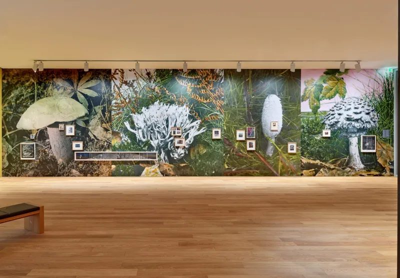 Mudam Enfin seules 04 05 21 189