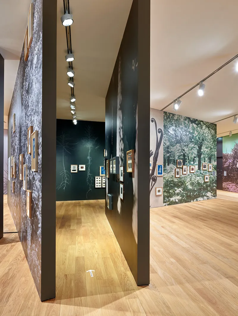 Mudam Enfin seules 04 05 21 191