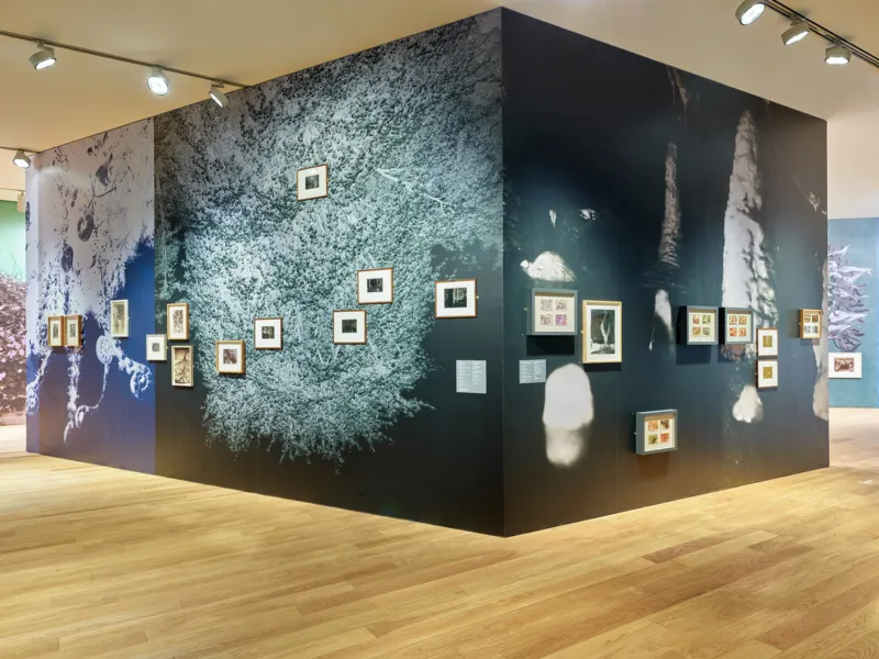 Mudam Enfin seules 04 05 21 198