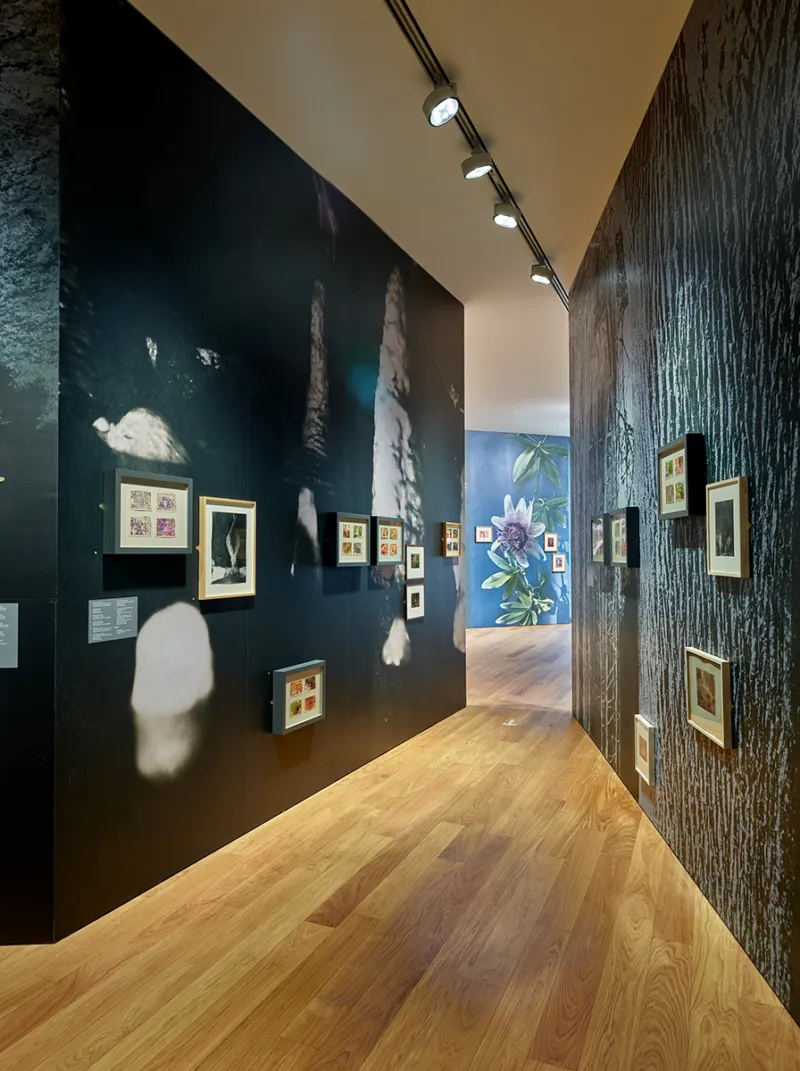 Mudam Enfin seules 04 05 21 200
