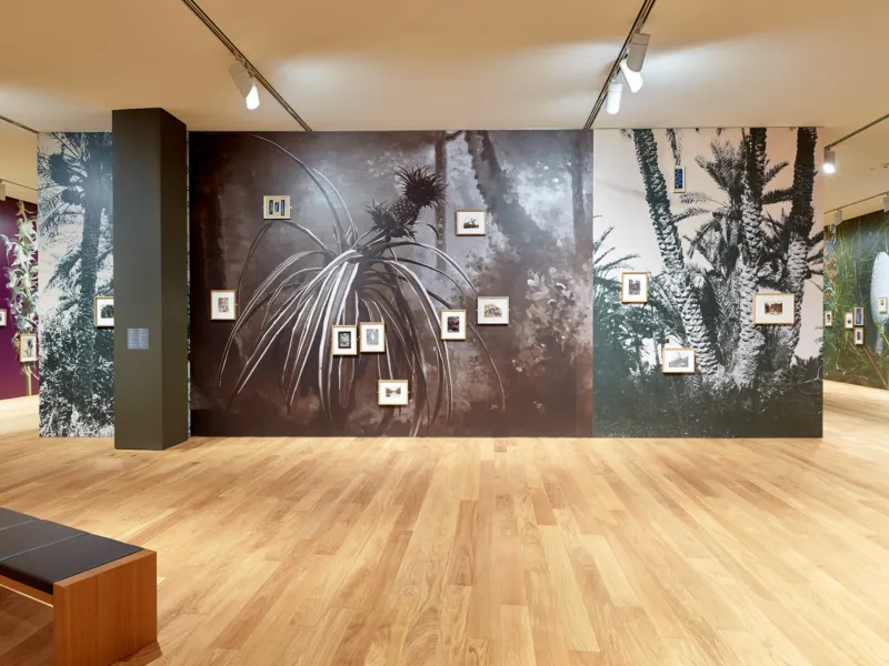 Mudam Enfin seules 04 05 21 202