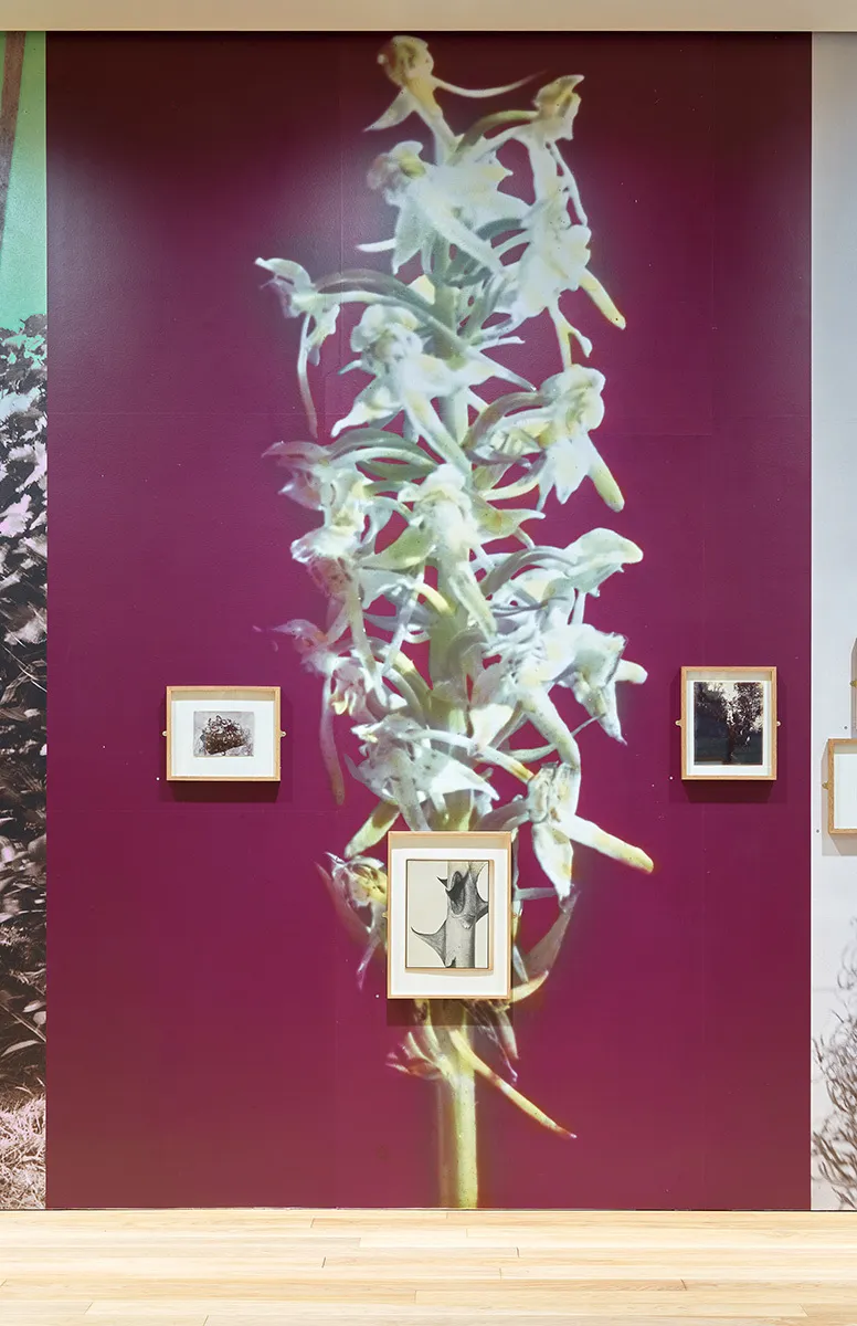 Mudam Enfin seules 04 05 21 208