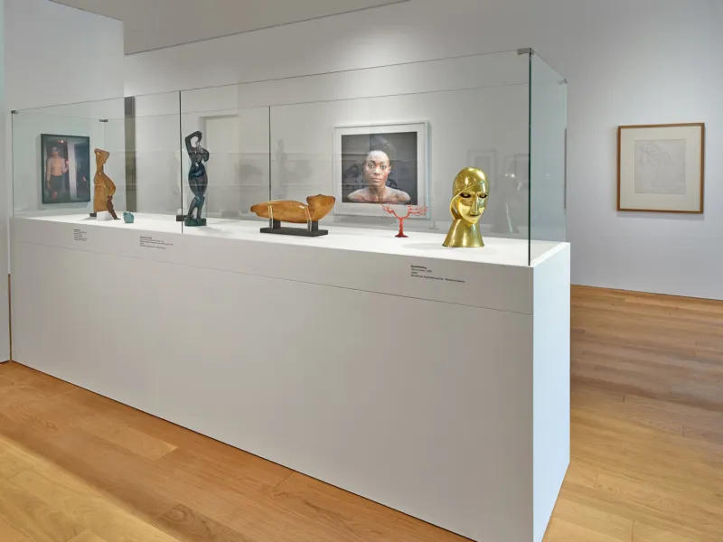 Vue de l'exposition "Face-à-Face. Moderne Galerie/Mudam Luxembourg : Deux collections en dialogue", 08.10.2022 – 02.04.2023 Mudam Luxembourg © Photo : Rémi Villaggi | Mudam Luxembourg