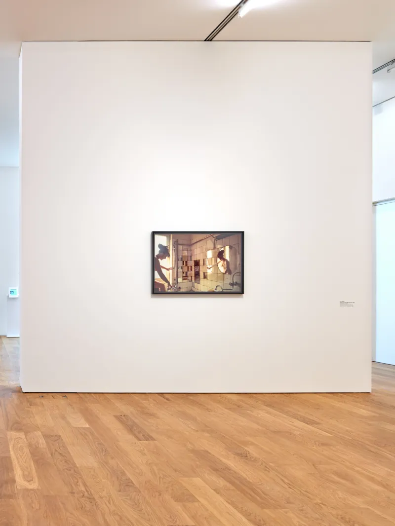 Mudam Figures sensibles Goldin 21 02 19 1208