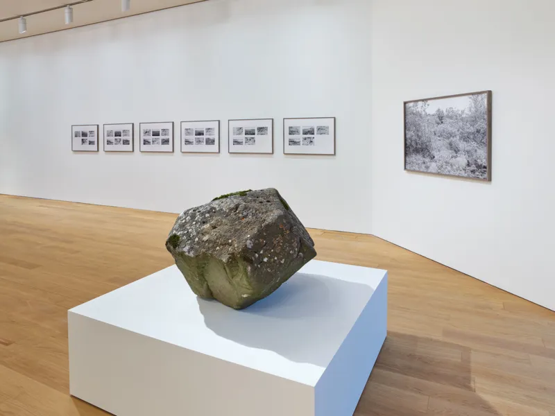 Vue de l'exposition "Freigeister. Fragments d’une scène artistique au Luxembourg et au-delà", 11.11.2021 – 27.02.2022, Mudam Luxembourg © Photo : Rémi Villaggi | Mudam Luxembourg