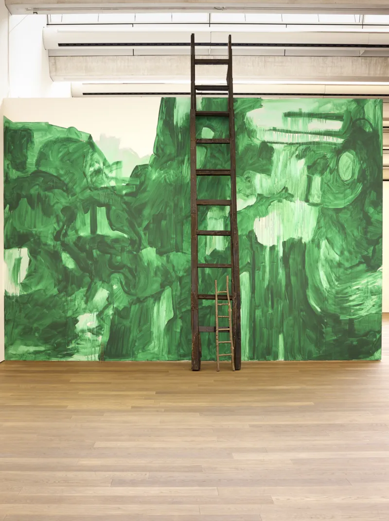 Mudam Lutz Guggisberg The Forest Remi Villaggi 11
