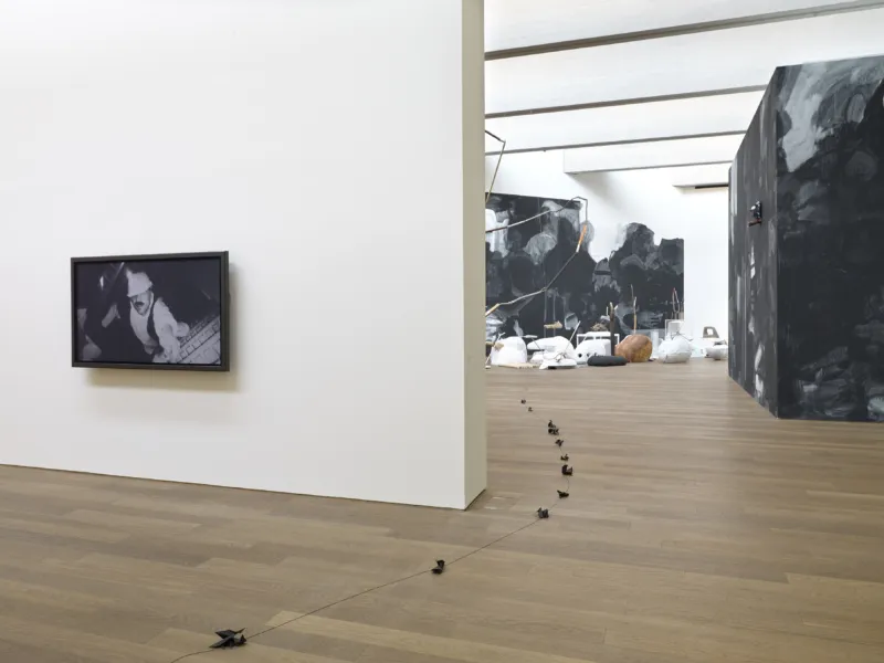 Mudam Lutz Guggisberg The Forest Remi Villaggi 15