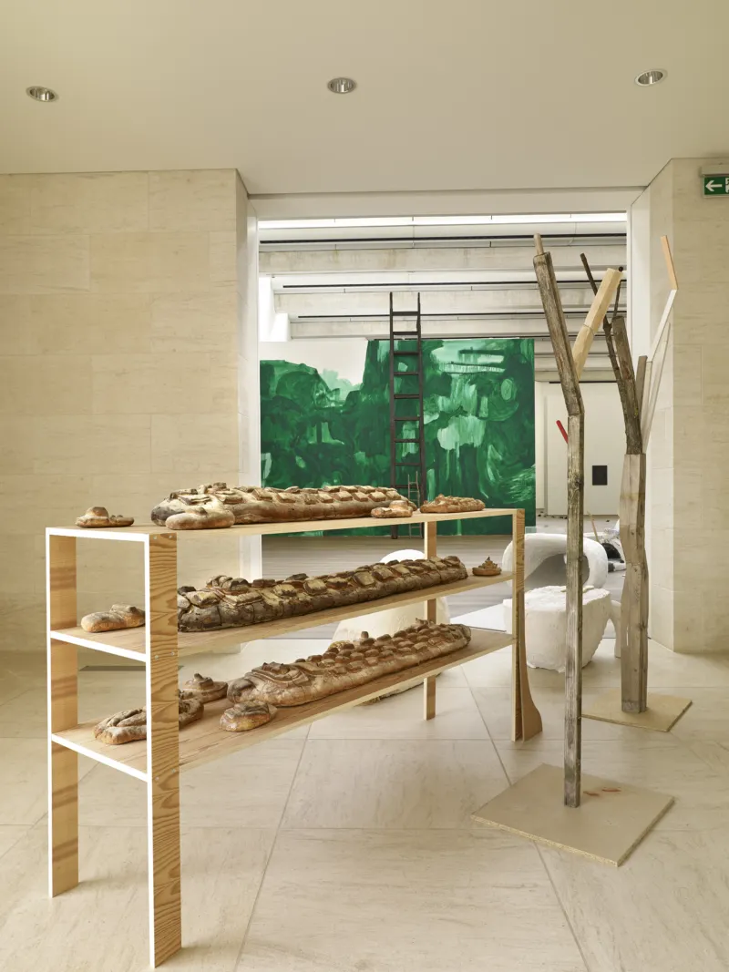 Mudam Lutz Guggisberg The Forest Remi Villaggi 2