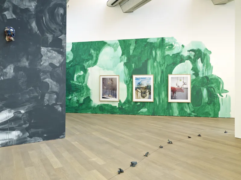 Mudam Lutz Guggisberg The Forest Remi Villaggi 23