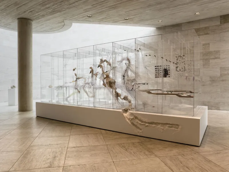 Mudam Mondes Altmejd 1