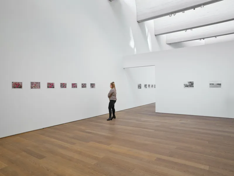 Vue de l'exposition "Zoe Leonard. Al río / To the River", 26.02. – 06.06.2022, Mudam Luxembourg