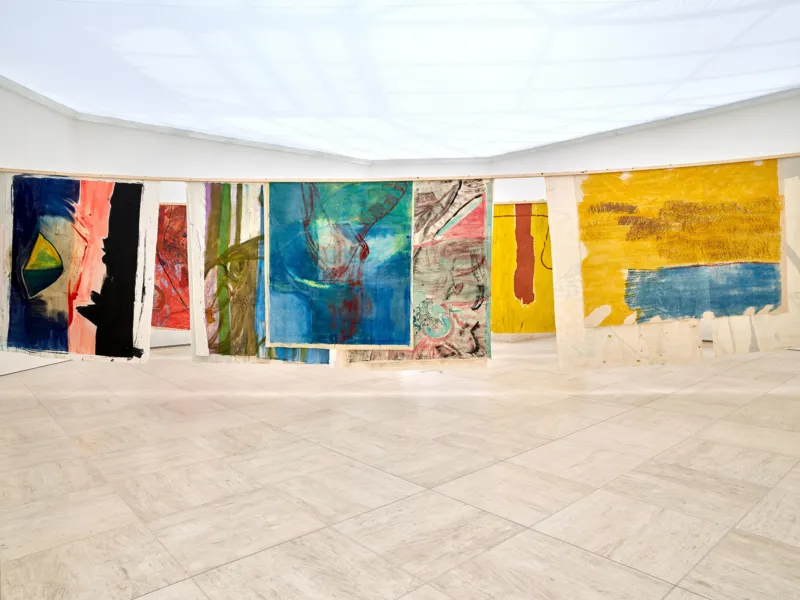 Mudam vivian suter 18 06 19 290