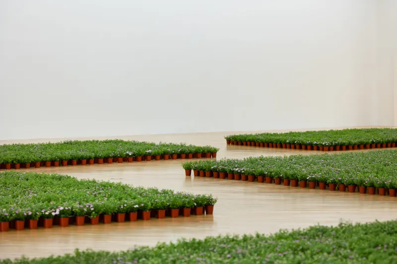 Nina Beier, ‘Field’, 2023. Art Sonje Center, Seoul. Courtesy of the artists, Standard (Oslo), Oslo and Croy Nielsen, Vienna