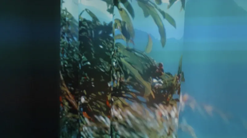 Screenshot 2025 12 01 at 10 42 29