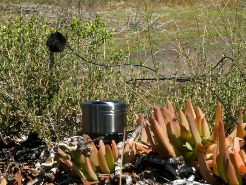 A small microphone recording the sound of nature.