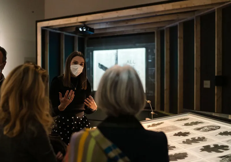 Visite 72dpi Marion Dessard