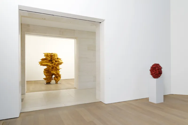 Vue 5 TONY CRAGG Mudam Adagp Aurelien Mole