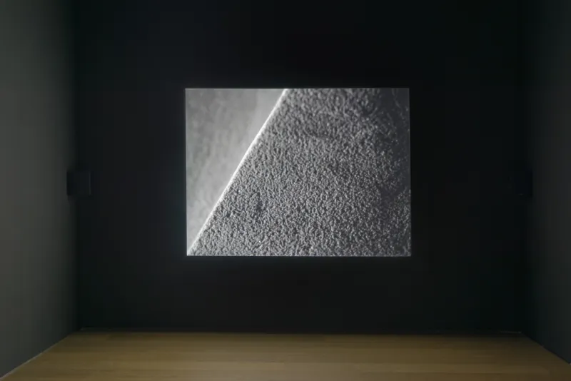 Vue FLATLAND Philippe Decrauzat Aurelien Mole