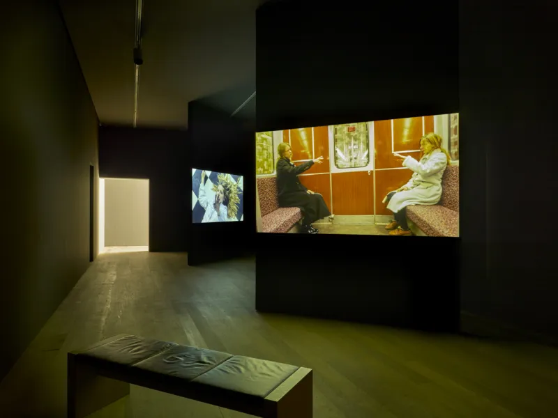 Vue MARTIN EDER Videos 2 Remi Villaggi Mudam Luxembourg