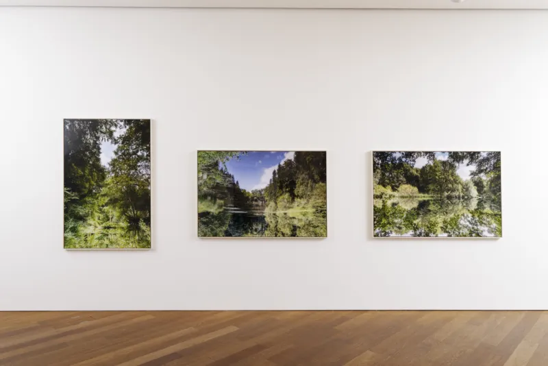 Vue SU MEI TSE NESTED Reflections Aurelien Mole