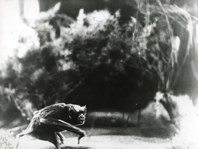 Film still from ‘The Vampire’ (1945) by Jean Painlevé