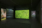 Vue All Things Pass DARREN ALMOND TIMESCAPE Mudam def image