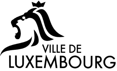 Logo vdl